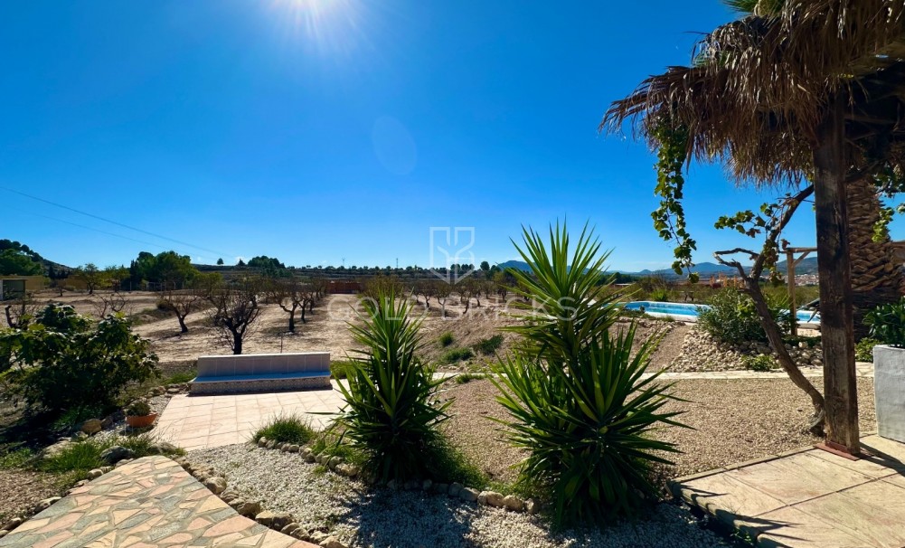 Sale · Finca / Country Property · Sax · Sax Centro