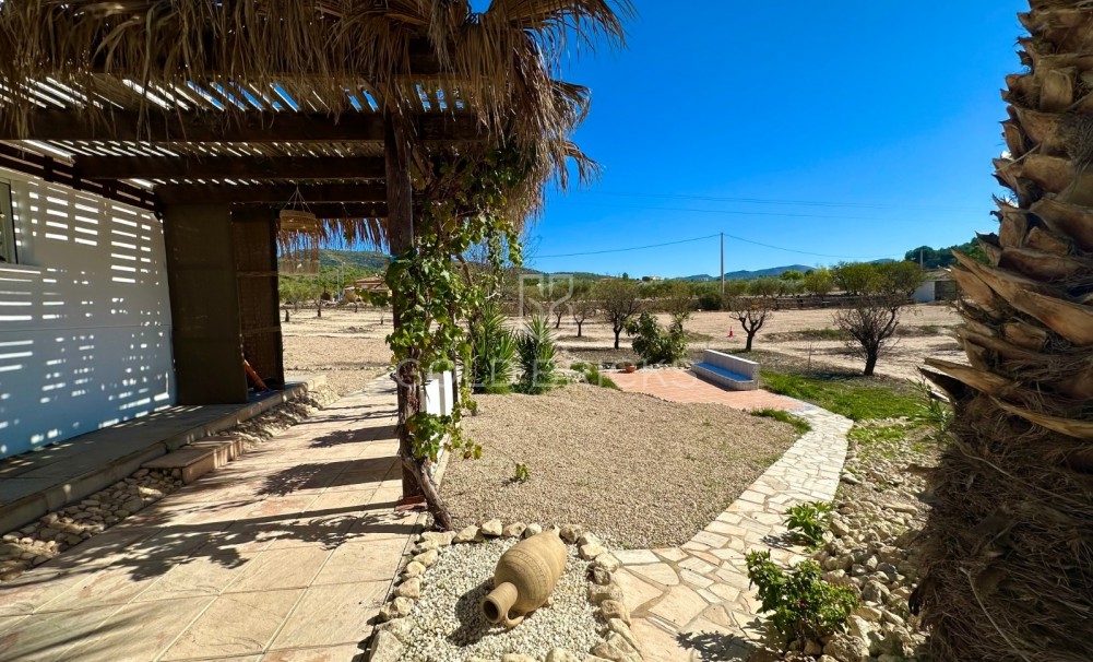 Sale · Finca / Country Property · Sax · Sax Centro
