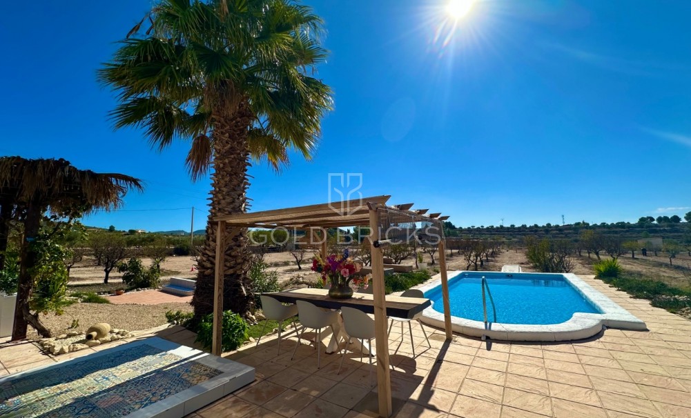 Sale · Finca / Country Property · Sax · Sax Centro