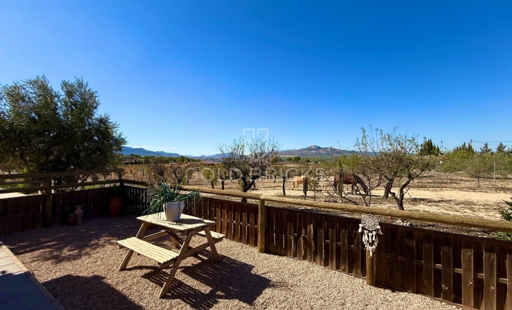 Sale · Finca / Country Property · Sax · Sax Centro