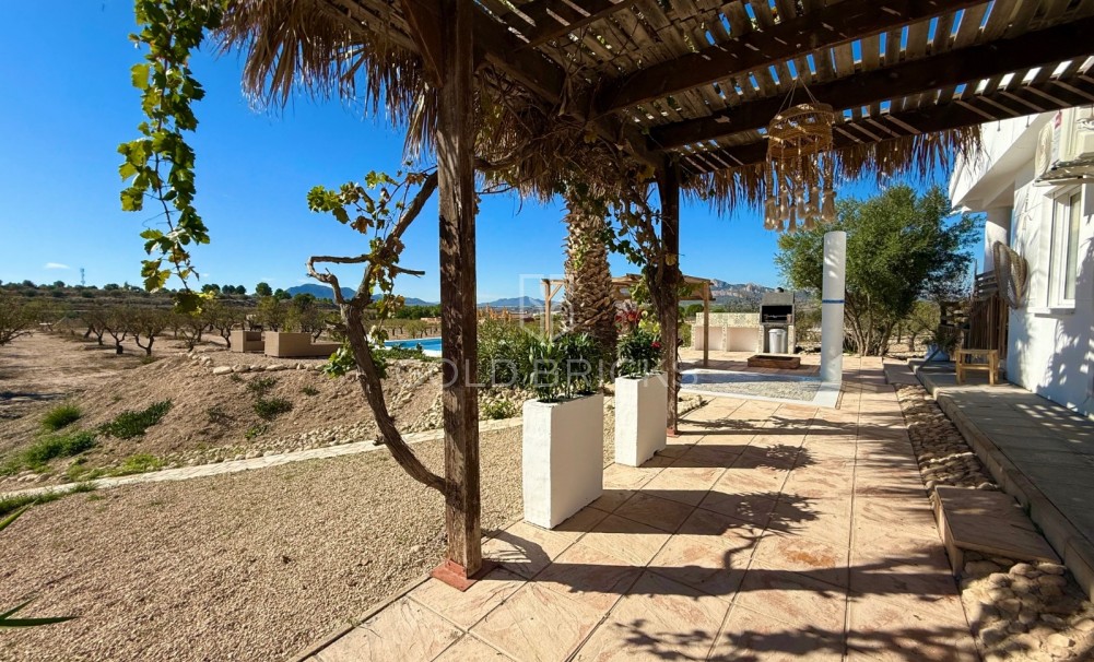 Sale · Finca / Country Property · Sax · Sax Centro