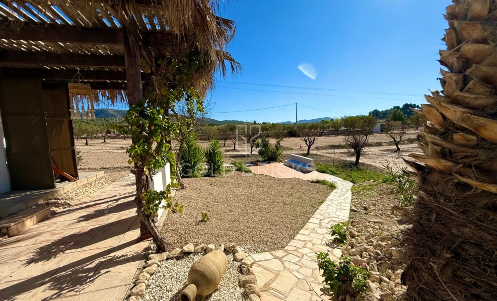 Sale · Finca / Country Property · Sax · Sax Centro