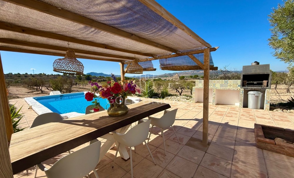 Sale · Finca / Country Property · Sax · Sax Centro