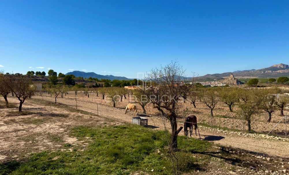 Sale · Finca / Country Property · Sax · Sax Centro