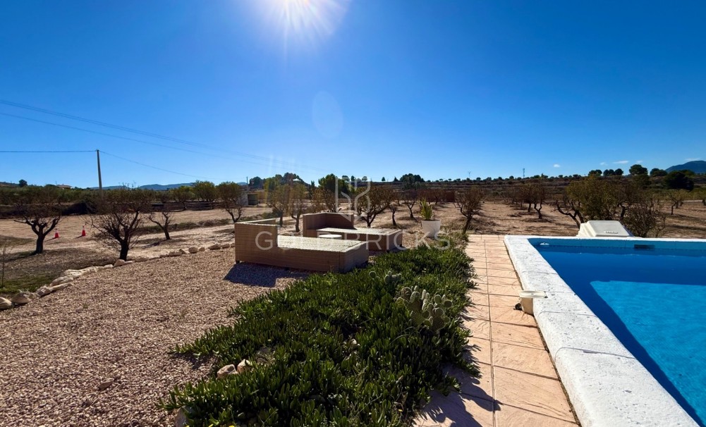Sale · Finca / Country Property · Sax · Sax Centro