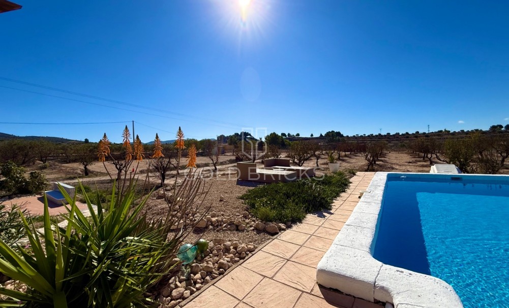 Sale · Finca / Country Property · Sax · Sax Centro