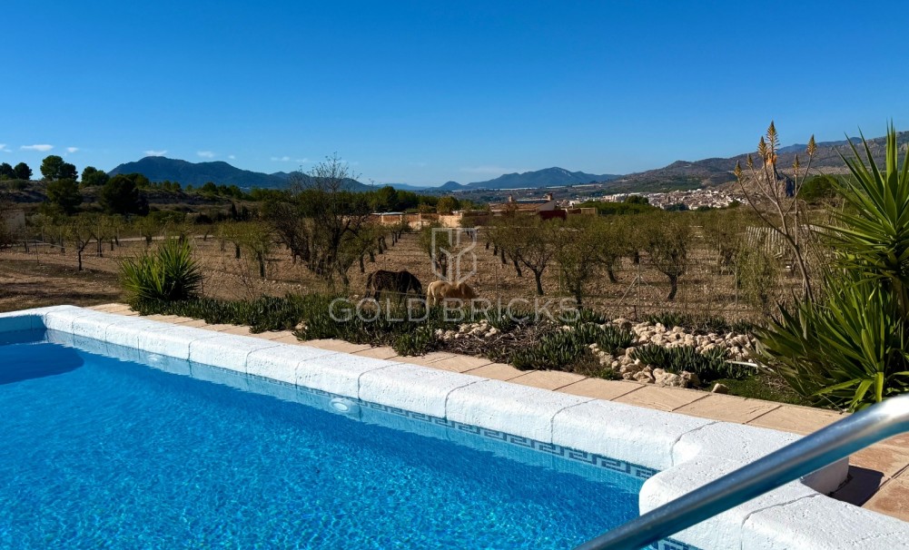 Sale · Finca / Country Property · Sax · Sax Centro