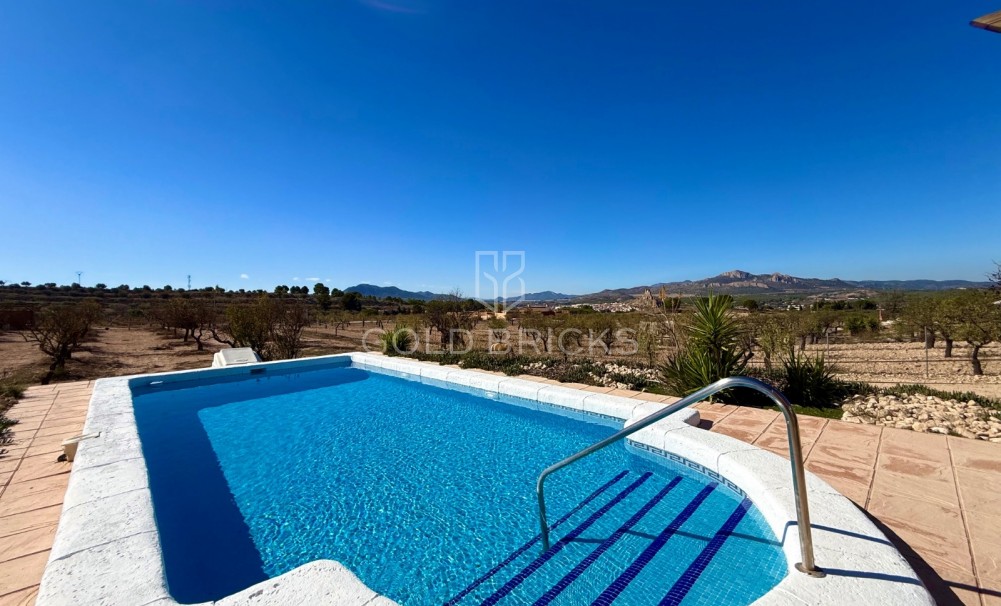 Sale · Finca / Country Property · Sax · Sax Centro