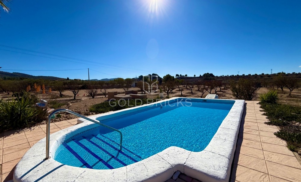 Sale · Finca / Country Property · Sax · Sax Centro