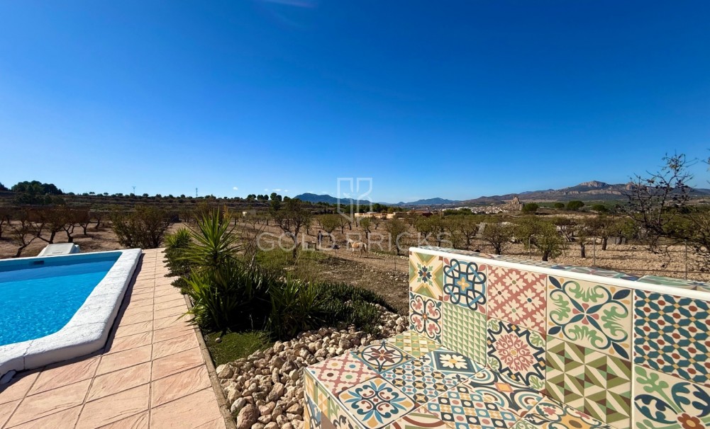 Sale · Finca / Country Property · Sax · Sax Centro