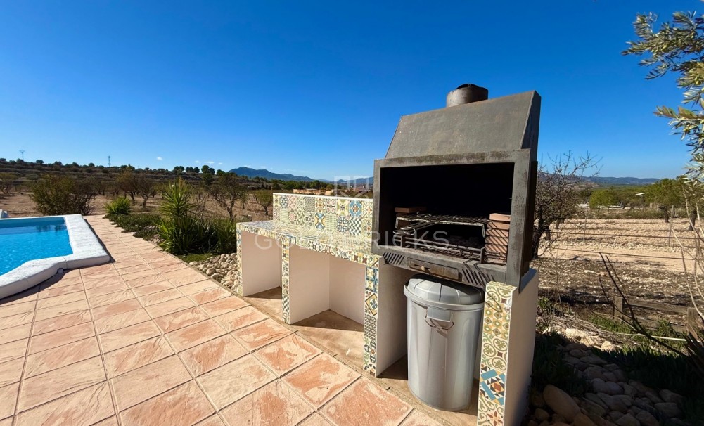 Sale · Finca / Country Property · Sax · Sax Centro