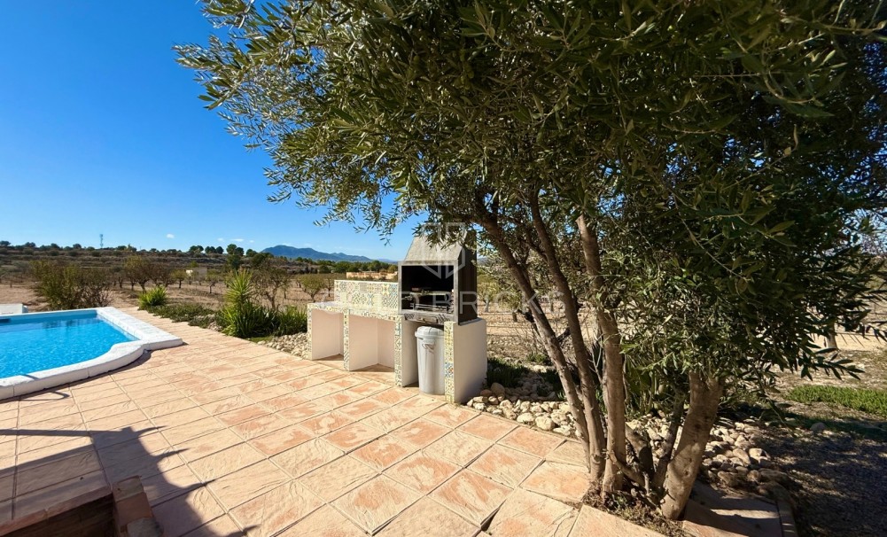Sale · Finca / Country Property · Sax · Sax Centro