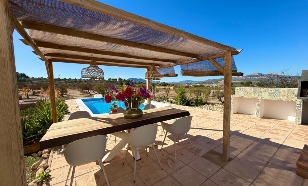 Sale · Finca / Country Property · Sax · Sax Centro