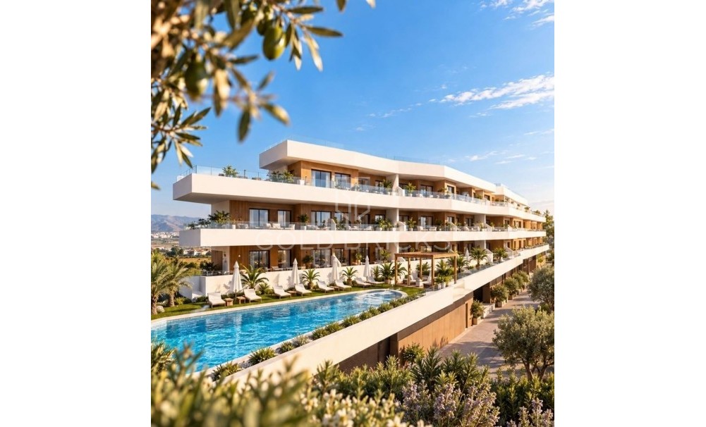 New Build · Penthouse · Formentera del Segura · Pueblo