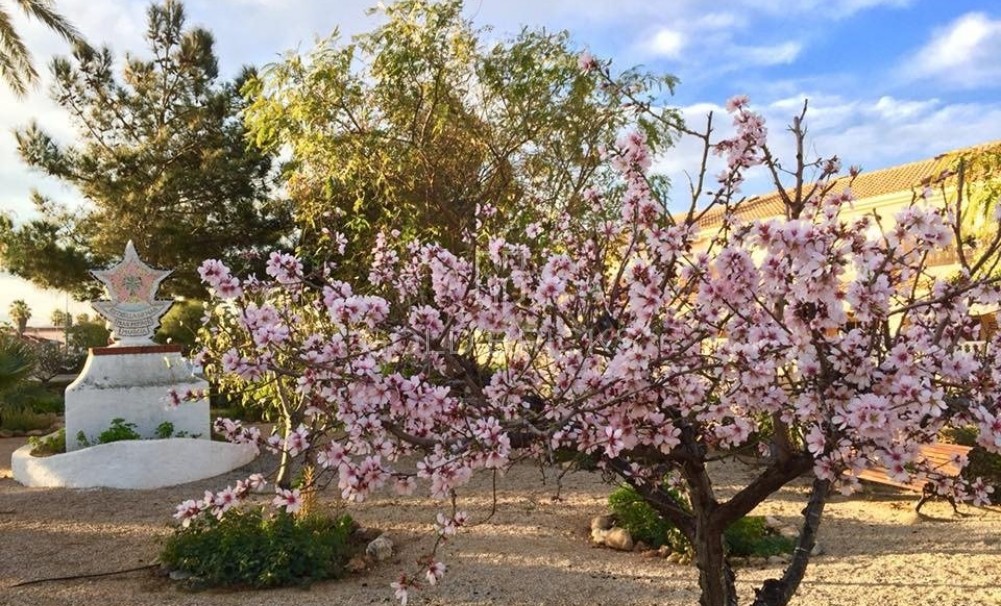 Nieuwbouw · Villa · LOS URRUTIAS · ESTRELLA DE MAR