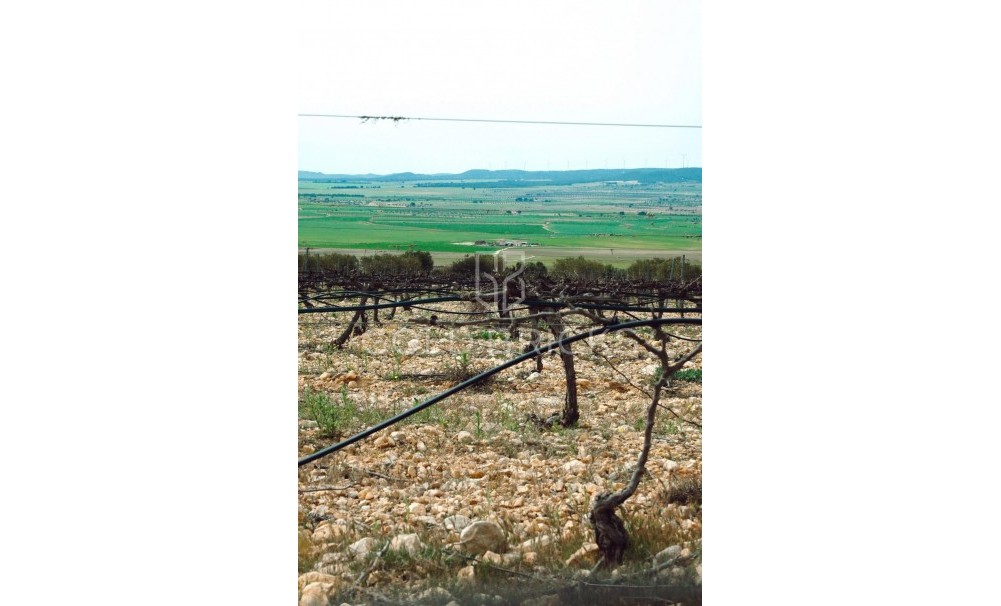 Nybyggnation · Villa · Yecla