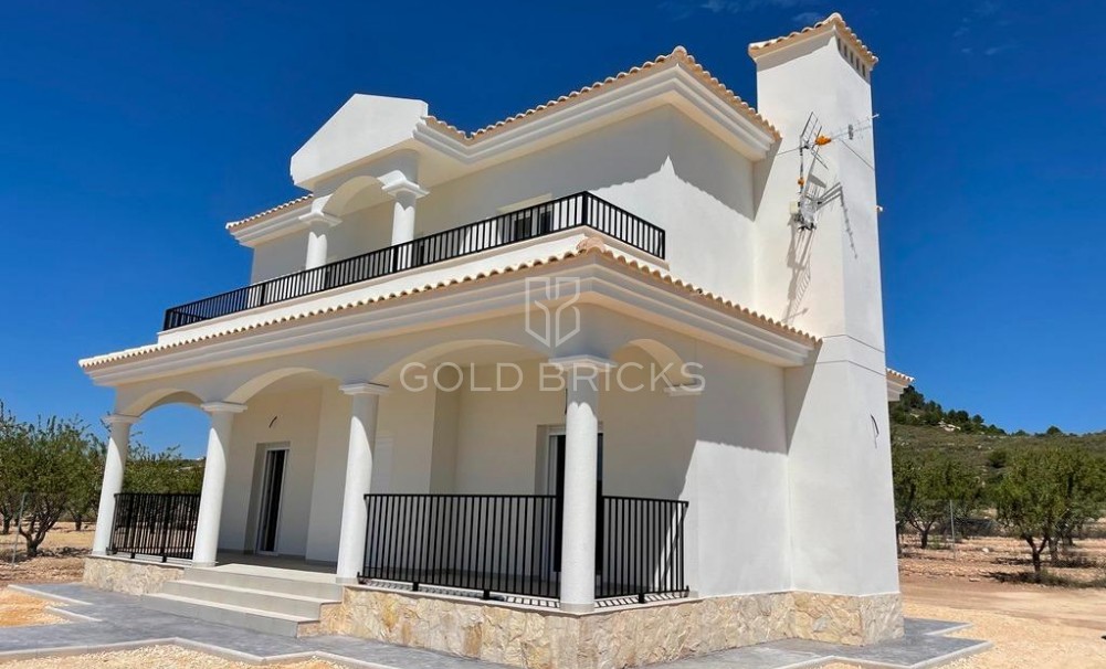 New Build · Villa · Pinoso · Camino Del Prado