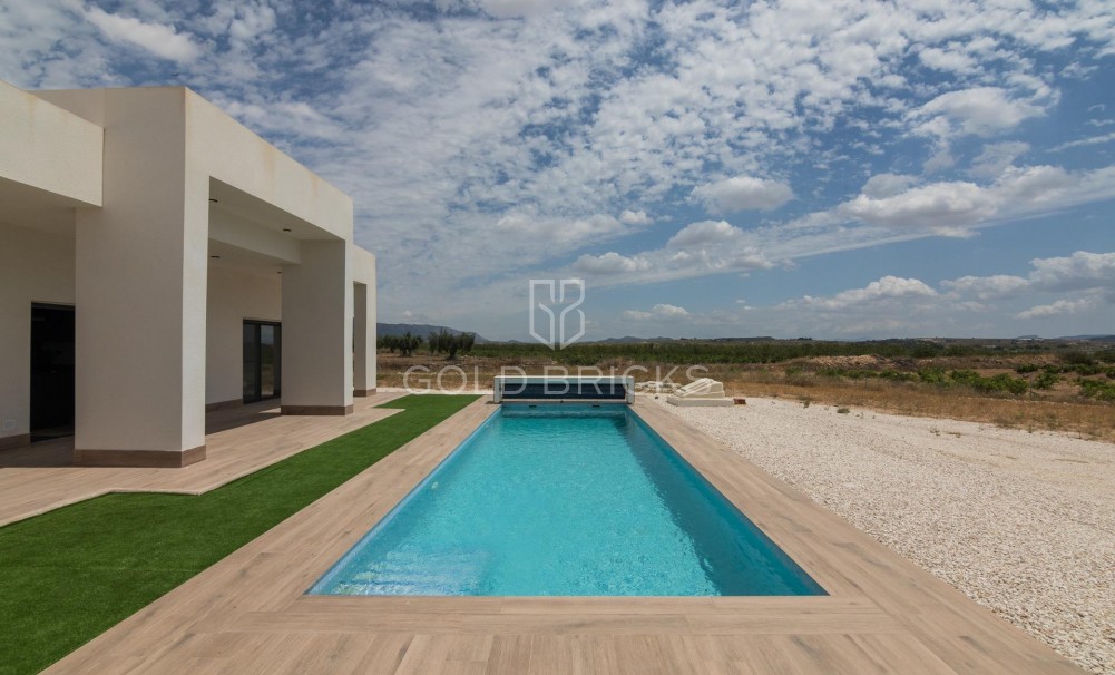 New Build · Villa · Pinoso · Campo