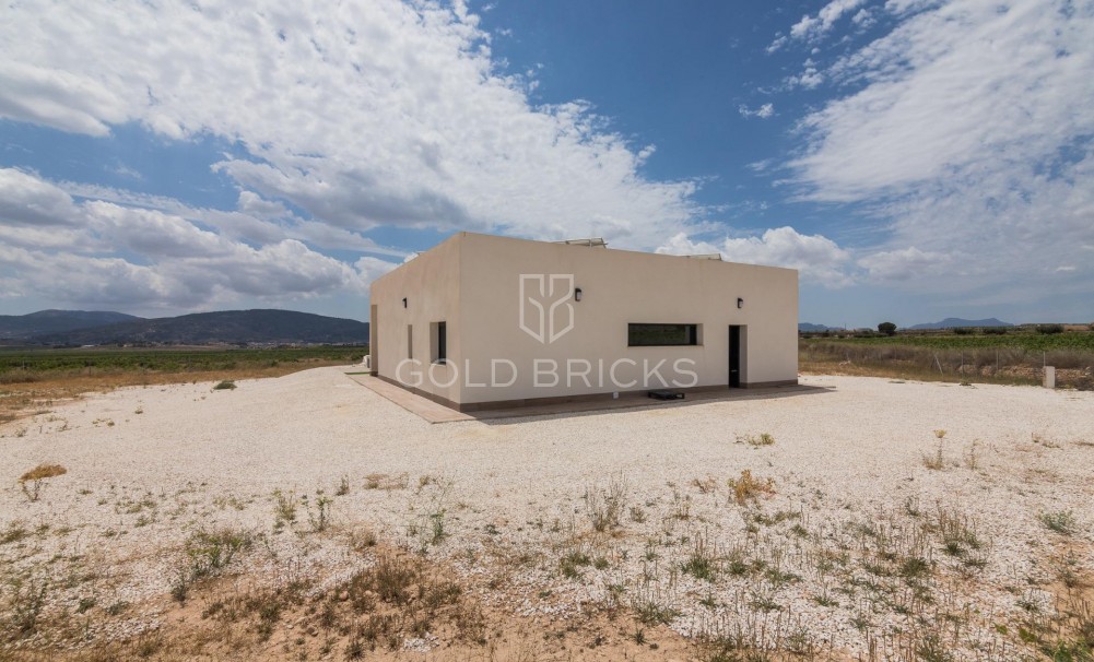 New Build · Villa · Pinoso · Campo