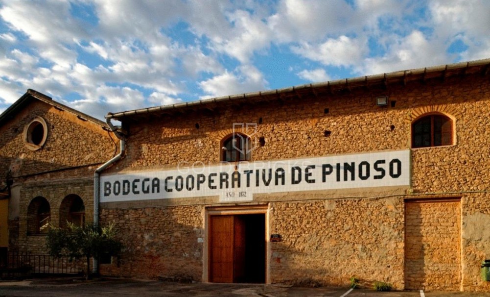 Nieuwbouw · Villa · Pinoso · Campo